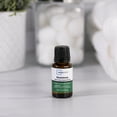 thumbnail image 2 of Mainstays 15mL Essential Oil Tea Tree, 2 of 5