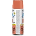 thumbnail image 3 of Rust-Oleum Painter's Touch 2X Ultra Cover Gloss Coral 340 g, 3 of 10