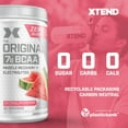 XTEND Original BCAA Post Work Muscle Recovery & Hydration Amino Acids