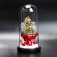 thumbnail image 1 of Happy Date Mini Christmas Tree Gift Glass Dome Display on Wood Base, Christmas Tree Desktop Ornament includes LED Lights, Christmas Table Decor, Winter Crafts, 1 of 9