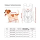 thumbnail image 2 of Walk Your Dog in Style with Our Adjustable, Hands-Free Pet Carrier Backpack!, 2 of 5