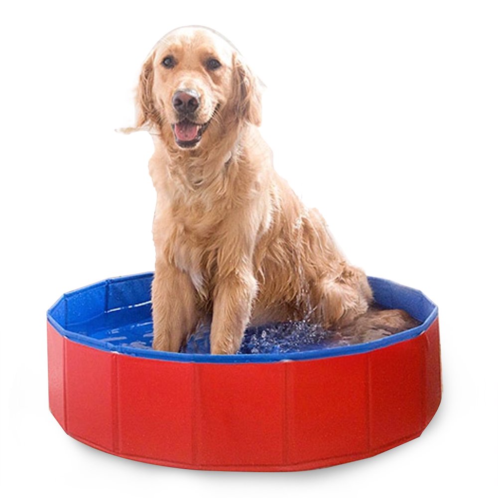 Foldable Pet Bath Pool Collapsible Dog Pool Pet Bathing Tub Pool for