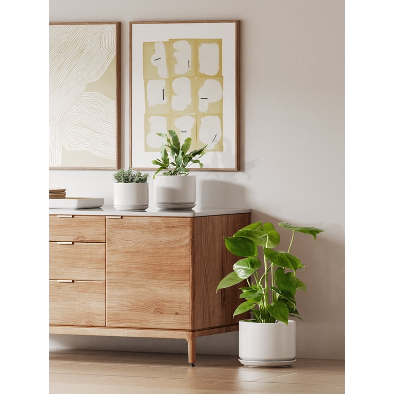 BEMAY 10 Inch White Ceramic Planter Pot photo 6