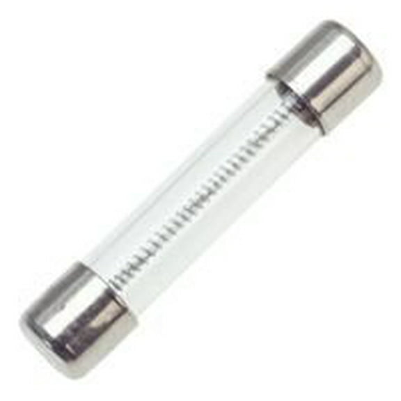 Fuse 8A 250 Volt Slow Blow Acting 2-Pin Bulk