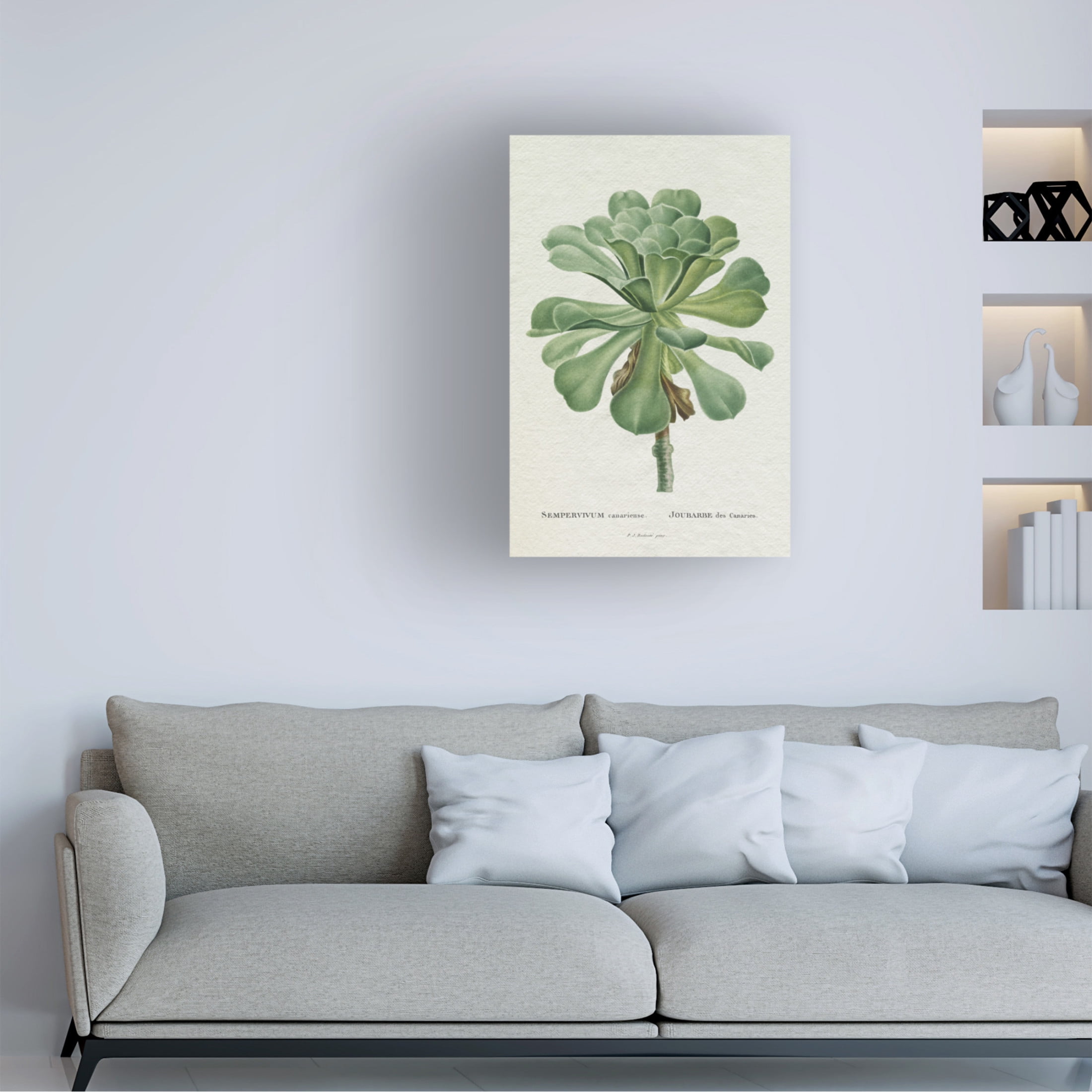 Trademark Fine Art Pierre Redoute  Redoute Succulent V Canvas Wall Art