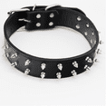 thumbnail image 1 of Collar fuerte para perros de razas medianas y grandes Adepaton CPB-US-YY229-1, 1 of 5