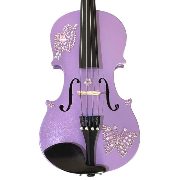 Rozanna's Glitzy Glam Violin Outfit w Brazilwood Bow Case Crystal Fine Tuners Rosin,Strings Set Up