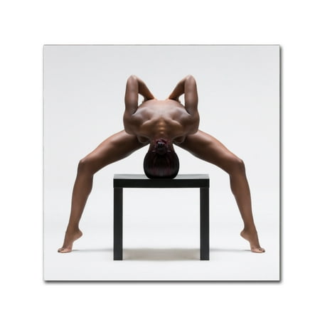 Anna Rose - Trademark Fine Art 'Anna Rose' Canvas Art by Ross Oscar
