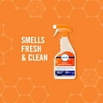 thumbnail image 4 of Febreze Fabric Antimicrobial Sanitizing and Odor-Fighting Fabric Spray, 24 fl oz, 4 of 8