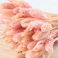 thumbnail image 3 of Coofit Dry Flower Branch DIY 24PCS Simple Natural Dried Grass Stem Dry Grass Decor, 3 of 8