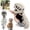 Grey-30IN, variant on 30IN Realistic Dinosaur Skeleton Halloween Costume Plush Toys Sets, Fun Skeleton Dinosaur Costume Dress-up Fossil Jumpsuit, Perfect Holiday Christmas Birthday Gifts