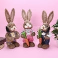 thumbnail image 6 of 14" Artificial Straw Bunny Standing Rabbit with Carrot Home Garden Decoration Easter Theme Party Supplies, 6 of 21