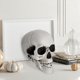 thumbnail image 5 of Decoración Realista De Halloween Para Bares Y Fiestas Ideal Para, 5 of 6