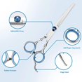 thumbnail image 2 of Dog and Cat Grooming Scissors, 6 in 1 Professional Pet Grooming Scissors Set, Safety Curved Tip Stainless Steel Titanium Coated Thinning and Curved Scissors and Comb Set with Bag for Pets, 2 of 5