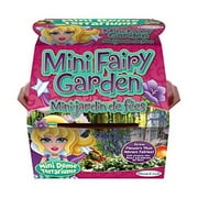 dunecraft mini fairy garden mini dome terrarium