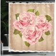 thumbnail image 4 of Ambesonne Rose Shower Curtain, Pink Bouquet of Flowers, 69"Wx70"L, Tan Pale Pink Green, 4 of 5