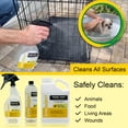 thumbnail image 2 of Synbiont Kennel Wash 1 Gallon Concentrate - Cleaner & Deodorizer for Birds, Cats, Dogs, Rabbits, Chickens - Dog Kennel Deodorizer Alternative - Pet Shampoo, 2 of 4