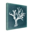 thumbnail image 2 of Trademark Fine Art 'Azure Coral II' Canvas Art by Vision Studio, 2 of 4