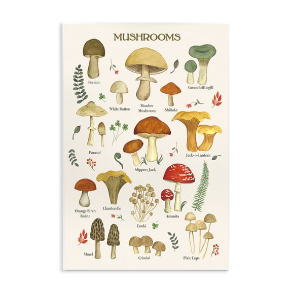 Stupell Industries Farmhouse Foraging Mushrooms Studies Wall Plaque Art, 13 x 19, by Sharon Lee