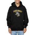 thumbnail image 1 of Harry Potter Boys Hufflepuff Cotton Hoodie, 1 of 7