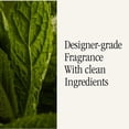 thumbnail image 4 of Recambio de aceite esencial Pura Allos Mint Leaves, paquete de 2, 4 of 7