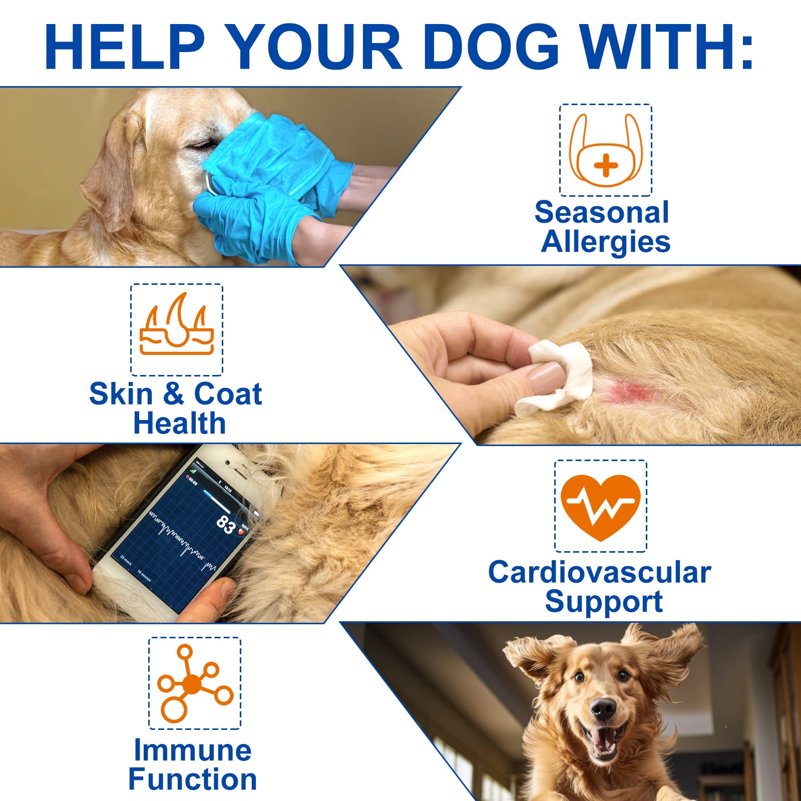 Oimmal Omega 3 for Dogs - Fish Oil for Dogs Skin and Coat - 180 Chewable Tablets - Omega 3 6 9, EPA & DHA and Vitamins Chewable for Dog Shedding, Dry Skin & Heart Support - 2Packs