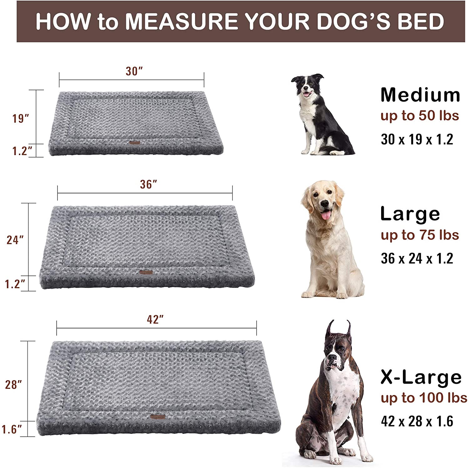 dog bed for 100 pound dog