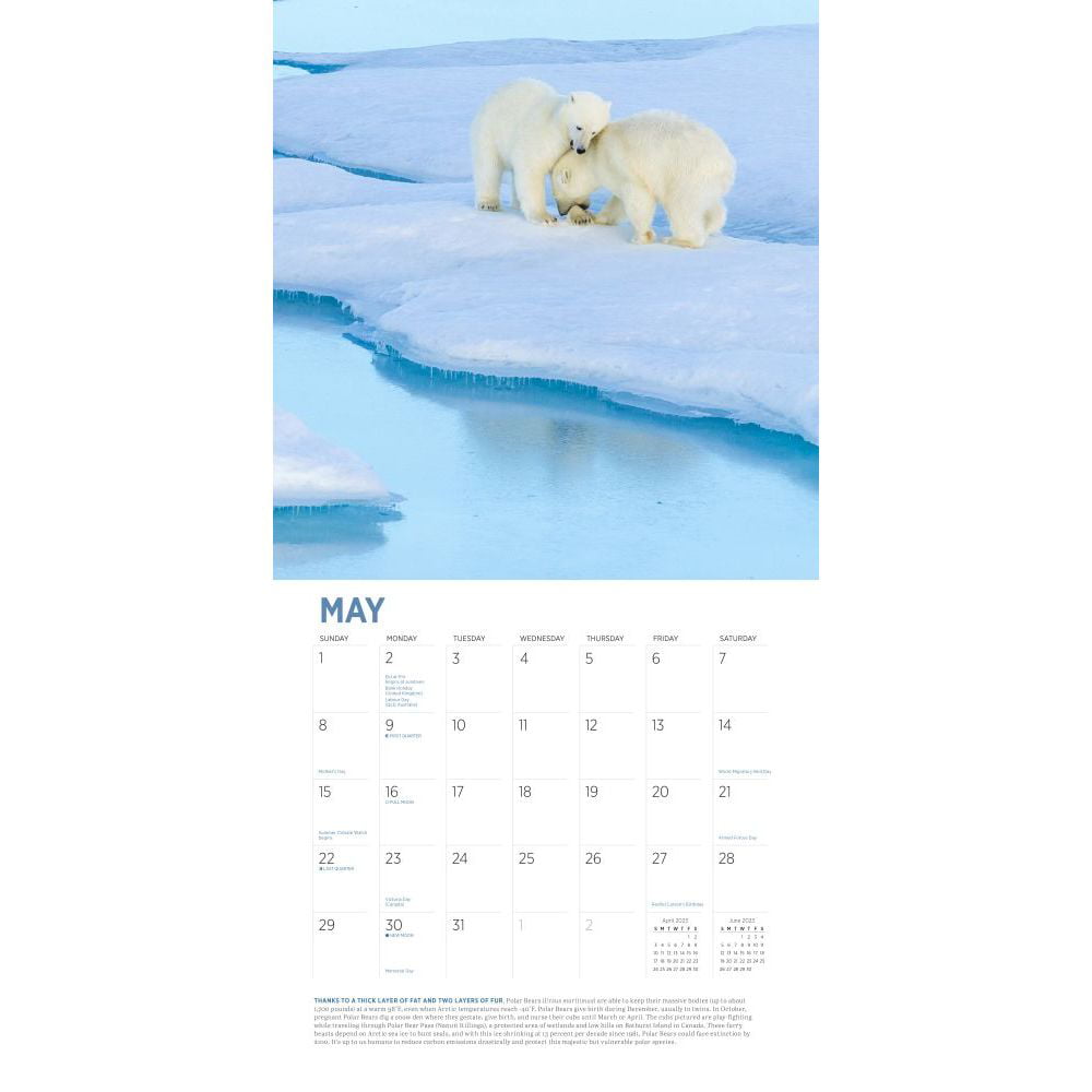 Wall　A　Calendar　Stunning　2023　of　Year　Polar　Nature　Calendar)　Audubon　Arctic