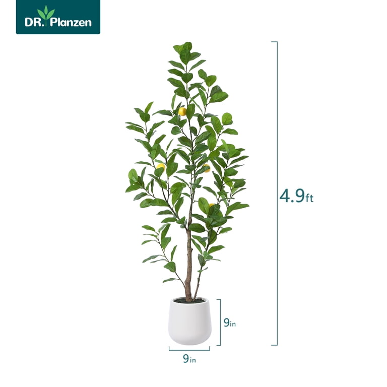 6.8FT Artificial Bird Of Paradise Plant – Faux Tropical Palm Tree In White Planter, Large Fake Tree For Home & Office Decor