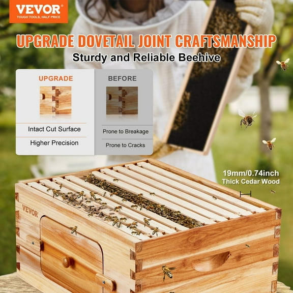 Natural Cedar Wood Bee Hive Deep Box Starter Set - 10 Frames with Beeswax Foundation & Acrylic View Panels for Pros & Newbies