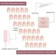 thumbnail image 4 of Presiona las uñas Glamnetic La Perle Squoval White French Tips, 4 of 6