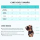 thumbnail image 3 of Traje De Baño Short Bikini Para Mujer Completo 4 Piezas, 3 of 6