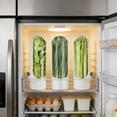 thumbnail image 5 of DEKEones 3 Herb Preservation Boxes - Airtight Storage for Preserving Fresh Herbs, 5 of 7