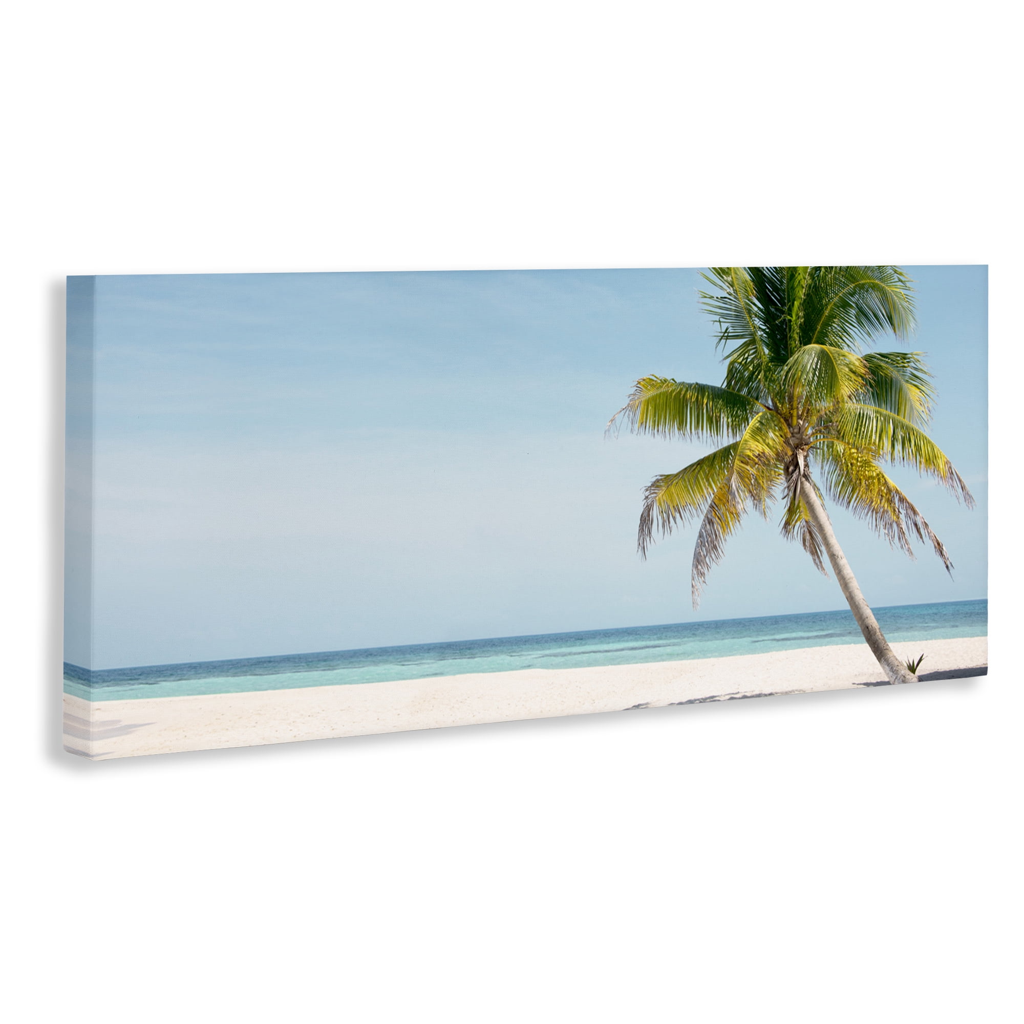 Stupell Industries Tropical Island Palm Tree Canvas Wall Art, design by Danita Delimont