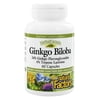Natural Factors HerbalFactors, Ginkgo Biloba, Supports Memory, Mental Performance and Healthy Brain Function, 60 Capsules