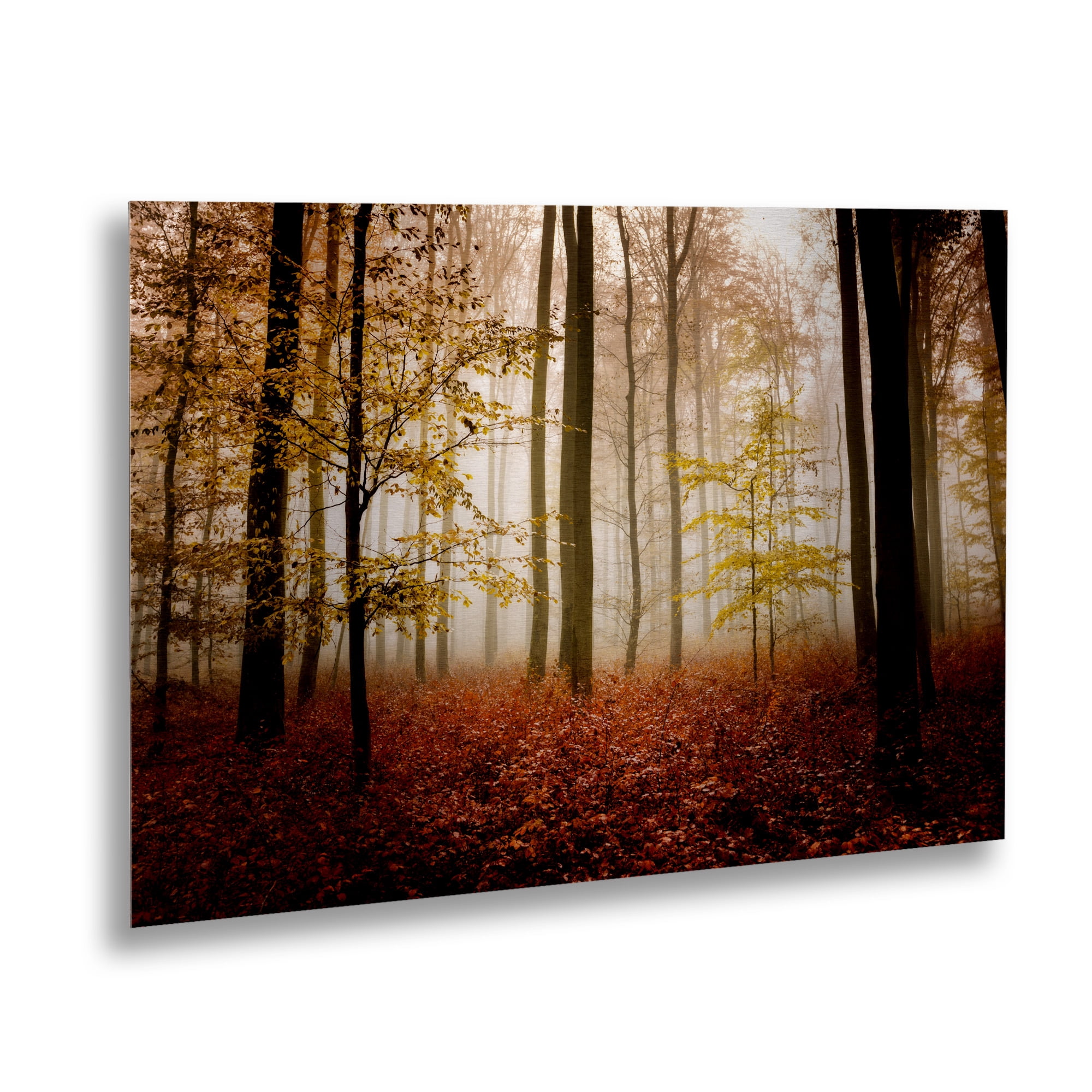 Trademark Fine Art 'Calmness' Brushed Aluminum Wall Art Art by Philippe Sainte-Laudy