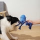 thumbnail image 4 of Dog Toys, Dog Plush Toy for Large Breed, Cute Squeaky Dog Toys with Crinkle Paper, Dog Chew Toys for Puppy, Small, Middle, Big Dogs (Octopus), 4 of 4