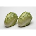 thumbnail image 3 of Hand Painted Ceramic Lettuce Salt and Pepper Shakers 2 7/8 inch, 3 of 3