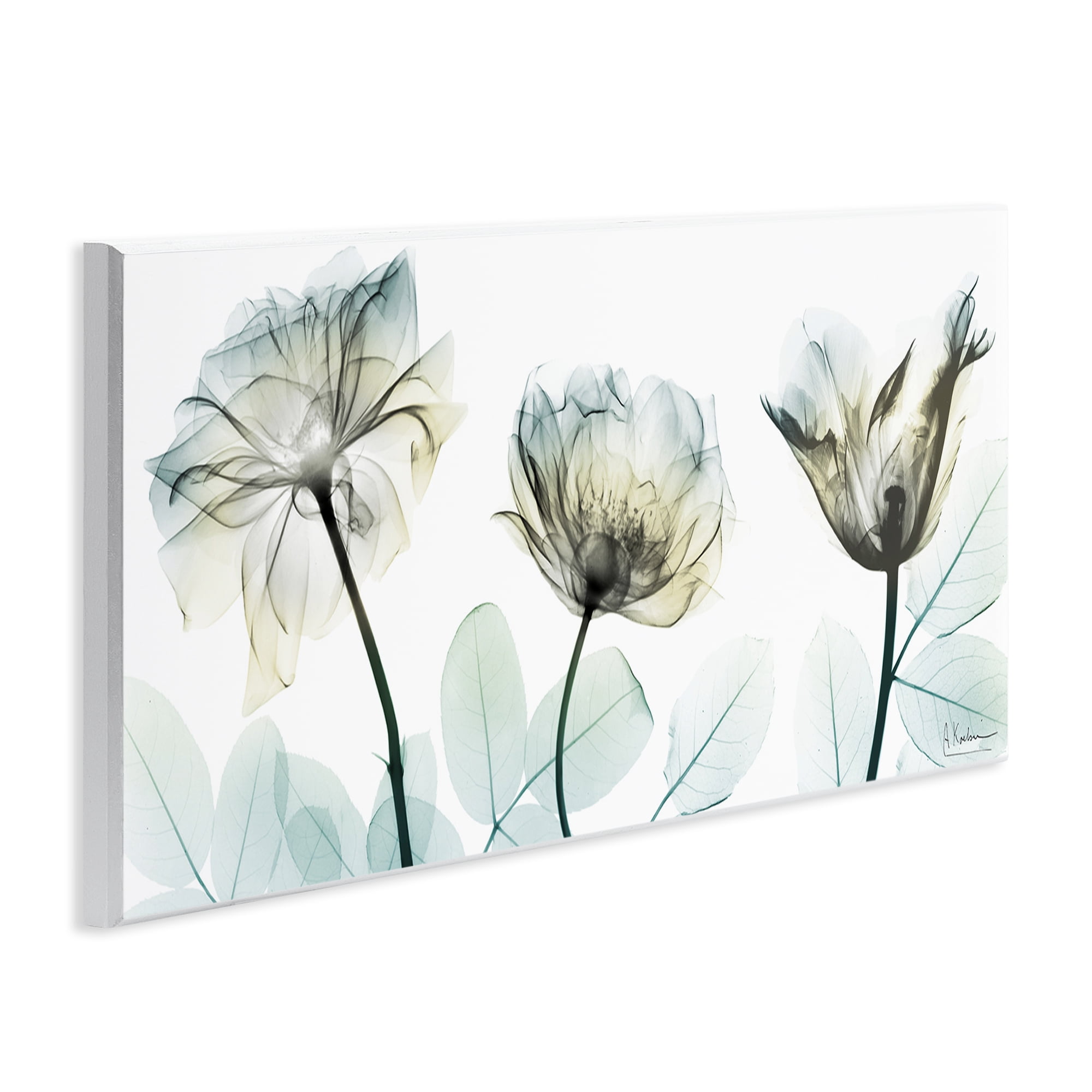 Stupell Industries Jewels Of Passion Wall Plaque Art, design by Albert Koetsier
