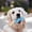 A, variant on Medium Spiked Bone with Rope Dog Chew Toy – Durable Plastic for Aggressive Chewers – C