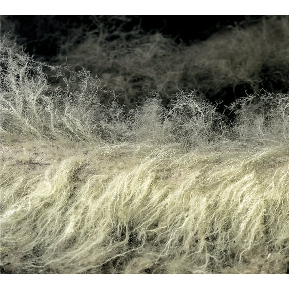 Lyonel Bauchet - Diver - Music & Performance - CD