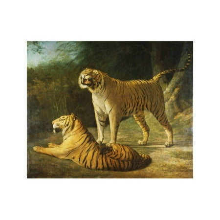 Tigress Tiger - A Tiger and Tigress at the Exeter 'Change Menagerie in 1808 Print Wall Art By Jacques-Laurent Agasse
