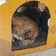 thumbnail image 3 of Cheese-shaped cardboard scratching house for cats, interesting house for resting and playing, 3 of 4