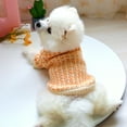 thumbnail image 3 of Pets Dog Cat Orange Color Wafer Sweater Autumn Winter Puppy Warm Clothes Costume, 3 of 8