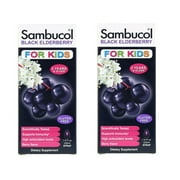 Sambucol - Black Elderberry Syrup, For Kids, Berry Flavor, 7.8 fl oz (230 ml) - 2 Packs
