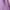 Purple, variant on plus size dresses for women party elegant bling double strappy cami dress empire waist high low summer dress