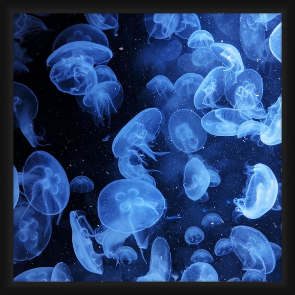 PTM Images Graphic Prints Abstract Framed Art Prints