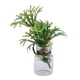 thumbnail image 1 of 1/12 Miniatura Resina Maceta Plantas Casa de Habitación Jardín Decoración Accesorio N.  degree 2, 1 of 7