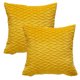 thumbnail image 1 of Juego de 2 fundas de almohada decorativas de terciopelo, conjunto de textura cuadrada, funda de almohada para sofá y dormitorio, 1 of 5