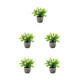 thumbnail image 1 of kurtrusly Realistic Artificial Succulent Low Maintenance Elegant Easy To Clean Artificial Money Tree In Pot white babysbreath 5Set, 1 of 6